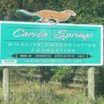 Carson Springs Wildlife Conservation