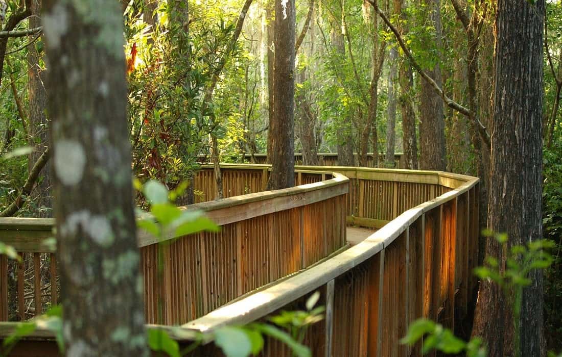 Big Cypress National Preserve Broadwalk