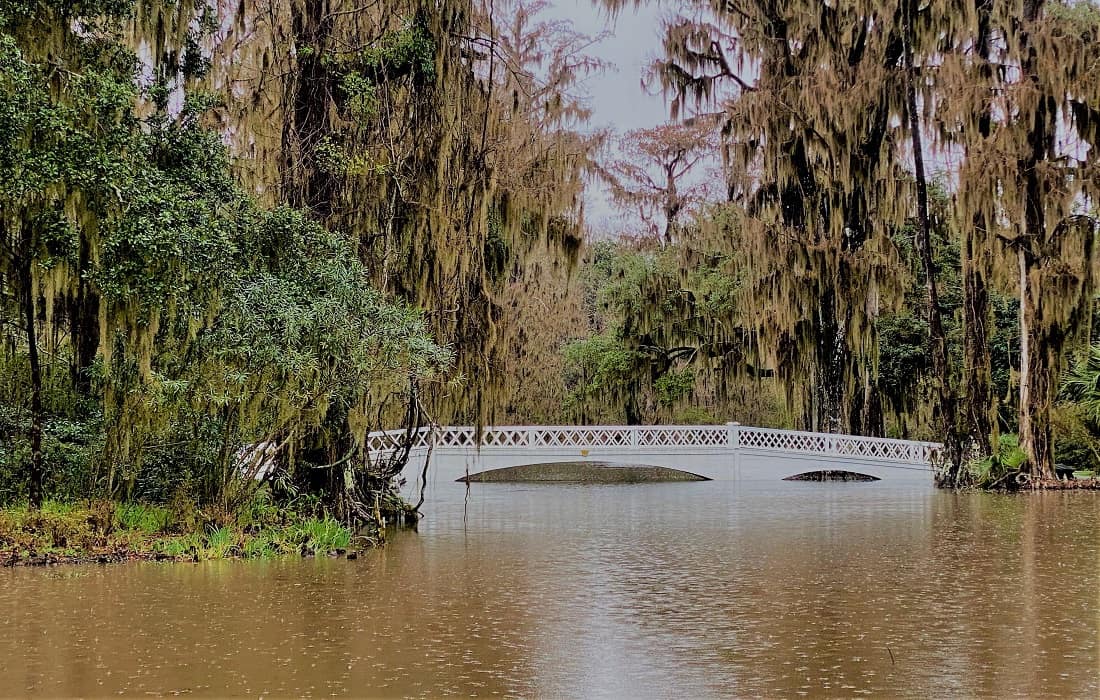 Bridge At Magnolia Plantation