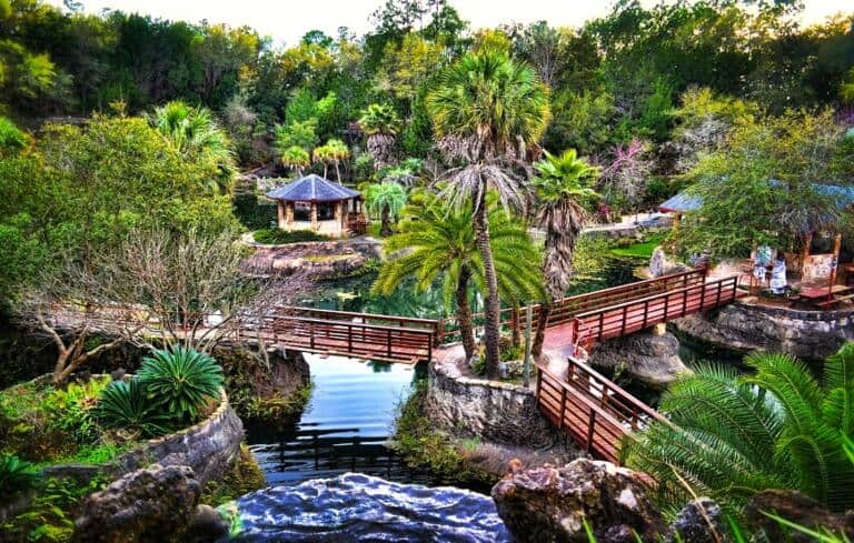 Cedar Lakes Woods & Gardens – Williston, Florida