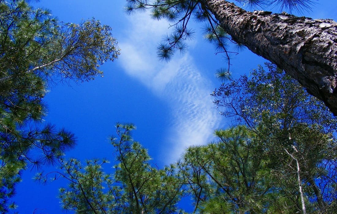 Florida National Parks