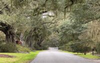 Inside Magnolia Plantation - South Carolina