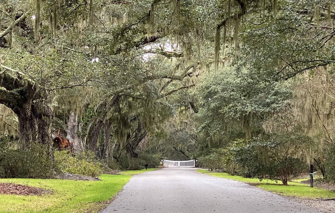 The History of Magnolia Plantation