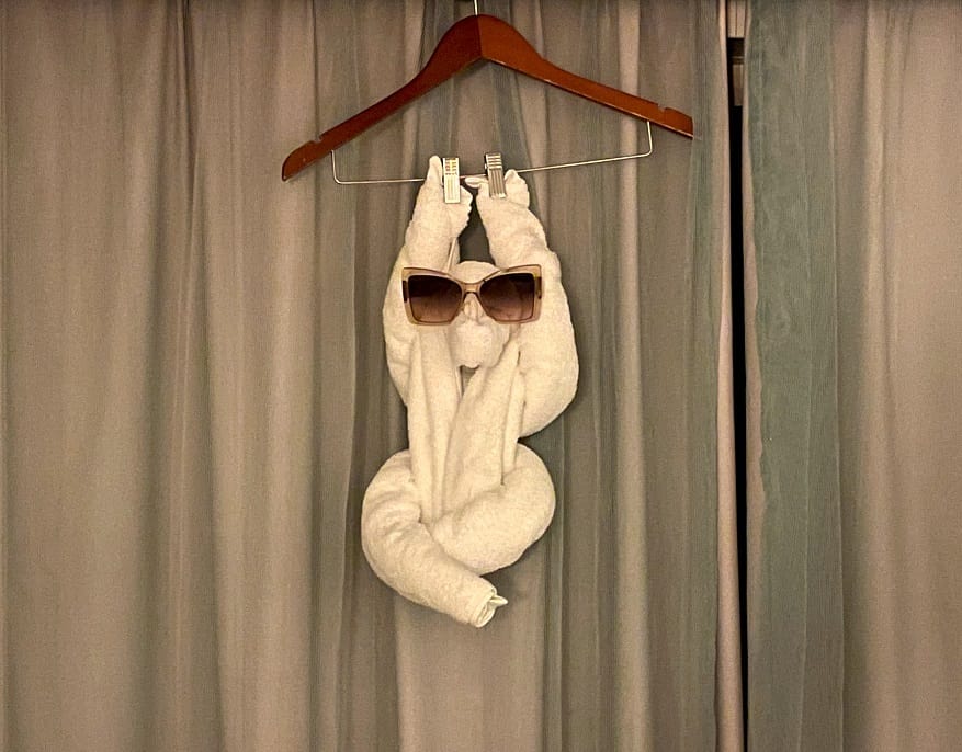 Towel Art