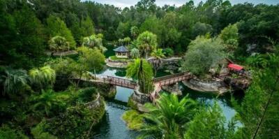 Cedar Lakes Woods & Gardens - Williston, Florida - Brit On The Move™
