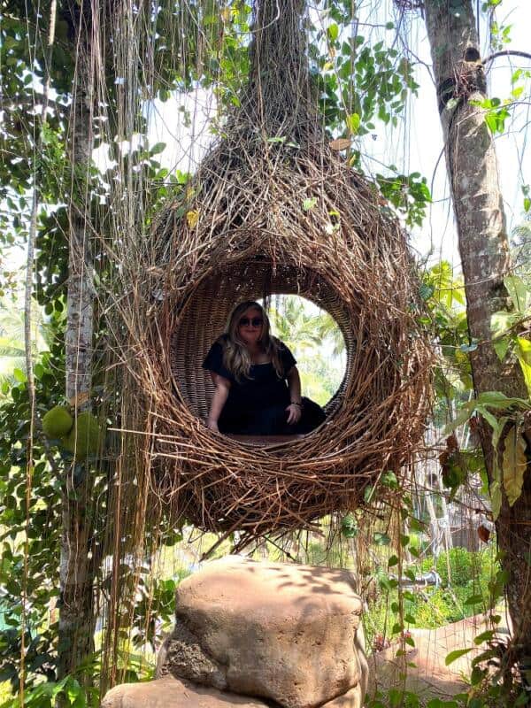 Bali Bird Nest