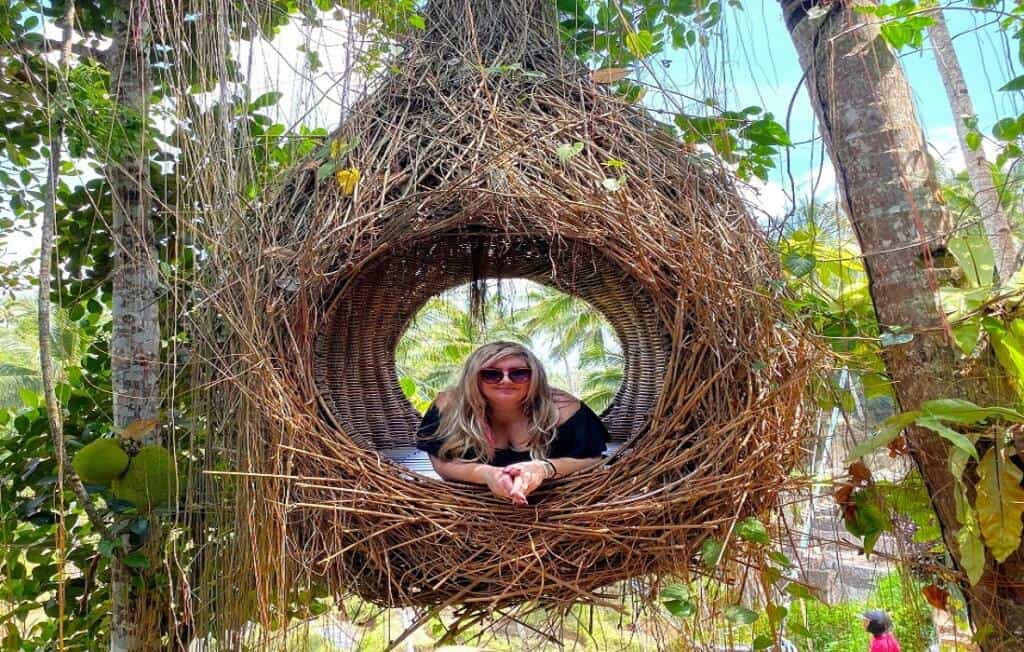 Bali Swings and Bird Nests The Ultimate Guide To The Famous Ones