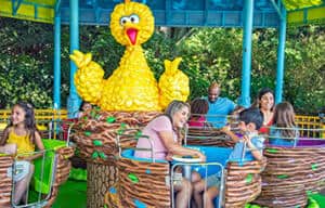 Big Bird Twirl N Whirl SeaWorld