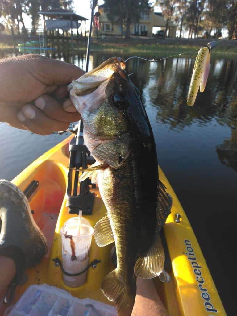 Fishing On Lake Georgia