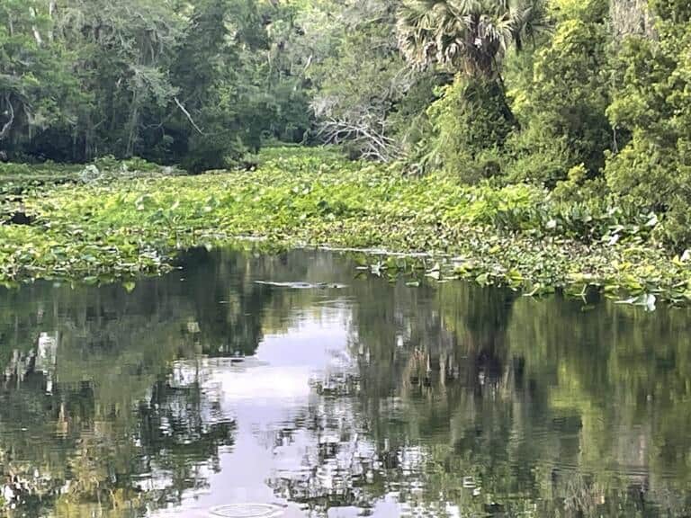 10 Reasons To Stay At Kings Landing, Florida