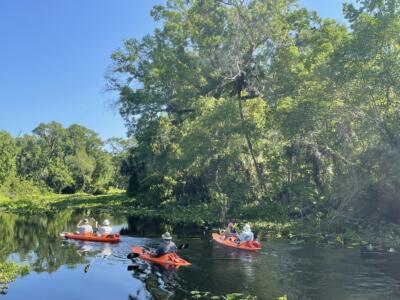 Kings Landing Florida, and The Iconic Emerald Cut