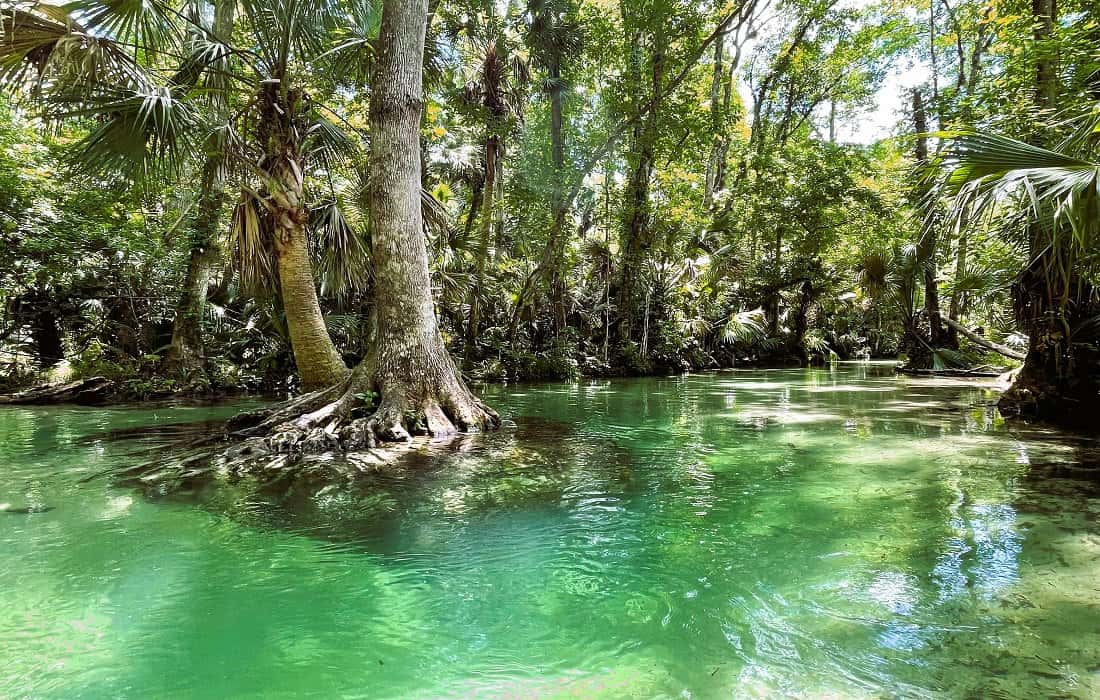 Kings Landing Florida and The Iconic Emerald Run