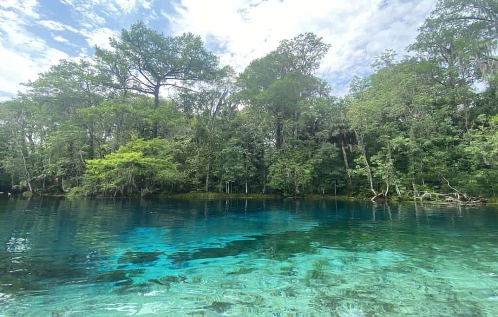 Silver Springs Florida One Of Florida's Most Famous Springs