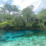 Silver Springs Florida