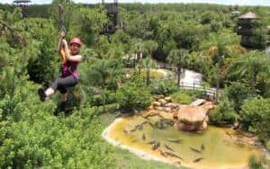 Zipline At Gatorland Florida