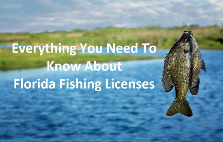 Everything You Need To Know About Florida Fishing Licenses