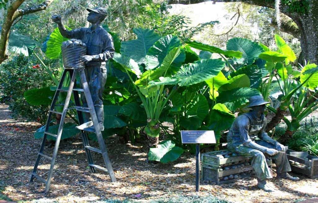Leu Gardens In Orlando Cover Pic