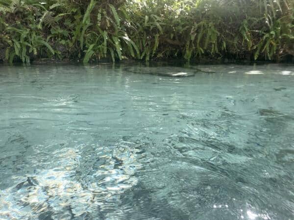 Clear Water At Rock Springs