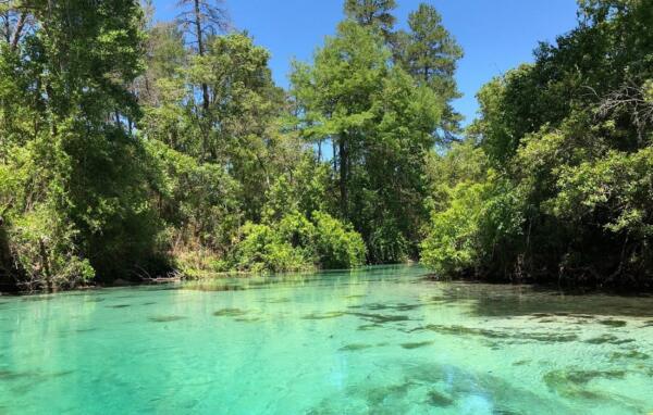 Kayak Weeki Wachee Springs - Florida