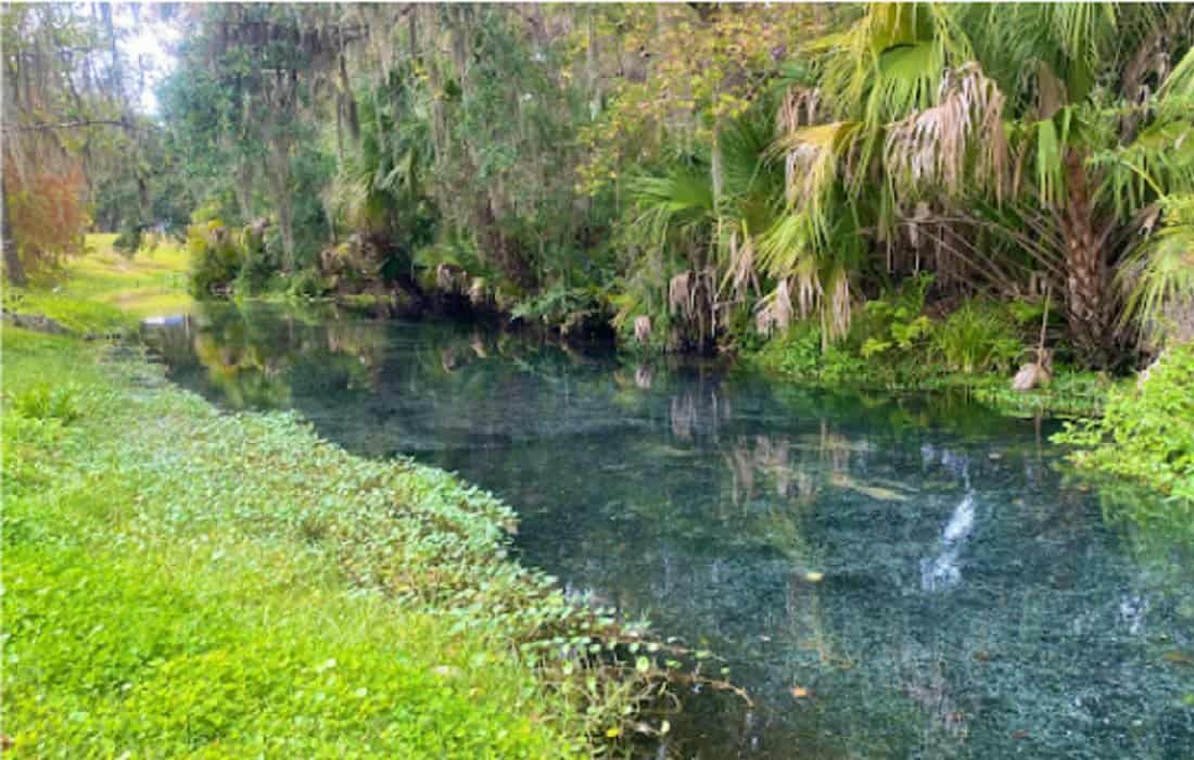 Spring Run that leads to the Wekiva River