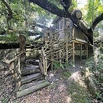 Dreamer's Escape Romantic Treehouse
