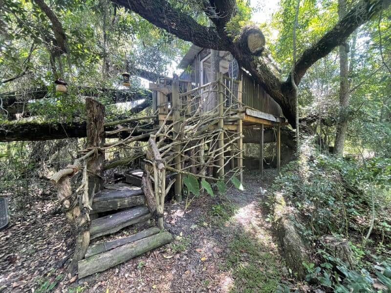Dreamer's Escape Romantic Treehouse