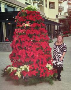 Gaylord Palms At Christmas