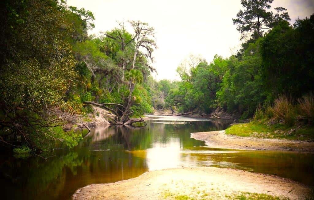 Geneva Florida The Ultimate Guide