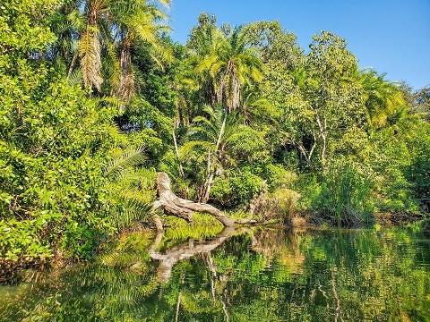 Rivers In Florida