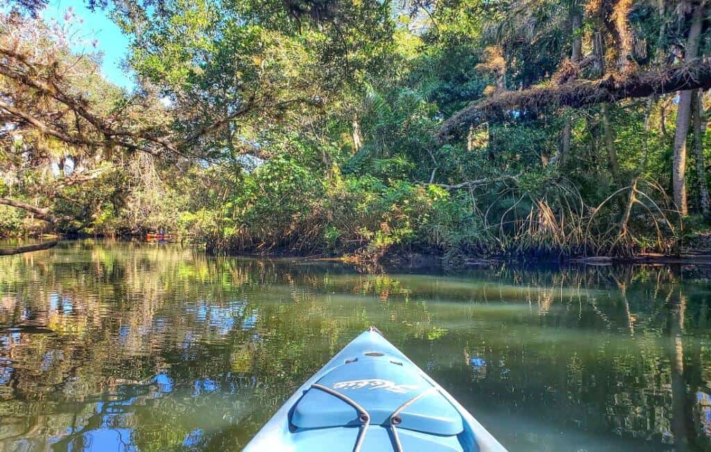 10 Rivers of Florida Worth Exploring - Rivers Of Florida 1024x652