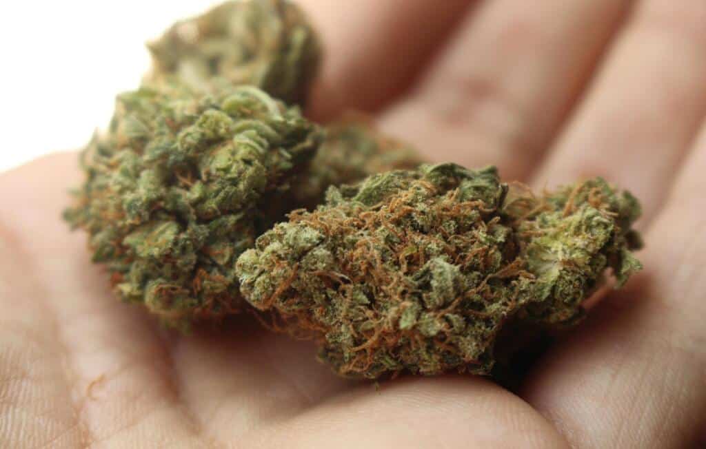 Travel with Marijuana