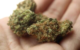 Travel with Marijuana