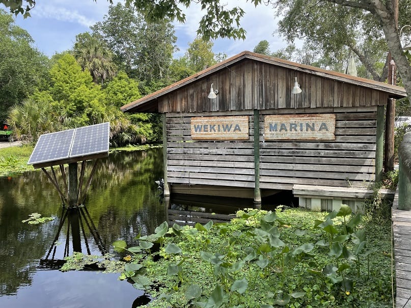 Wekiva Marina