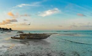 Zanzibar Beach Tanzania