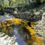 Can you swim in the Suwannee River