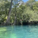 Rope Swing At Royal Springs