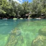 Royal Spring