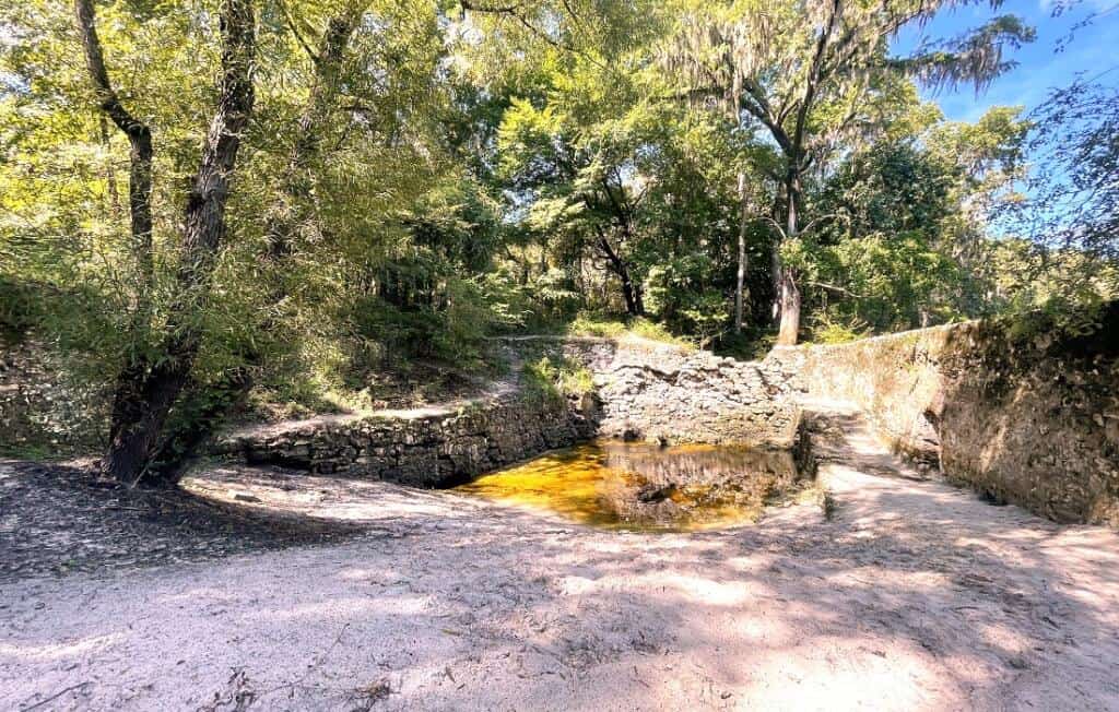 Suwannee Spring