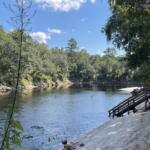 Suwannee Springs River Bank