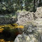 Suwannee Springs Today