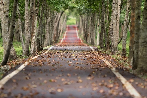 Fall In Florida