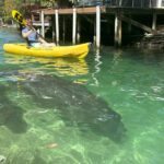 Kayak Weeki Wachee Springs