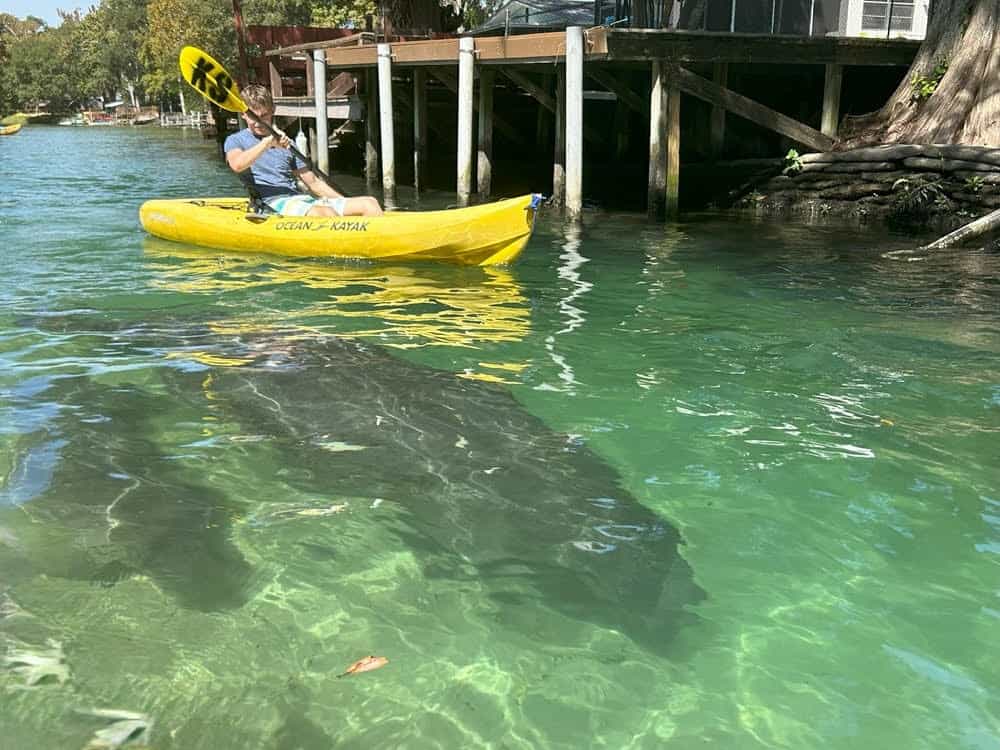 Kayak Weeki Wachee Springs