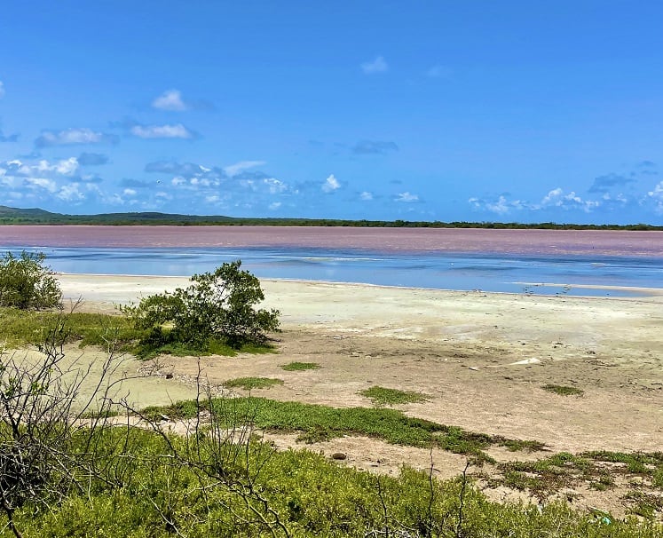 PINK WATER IN PUERTO RICO: HOW TO GET TO THE PINK LAKE IN PUERTO RICO - My  Darling Passport