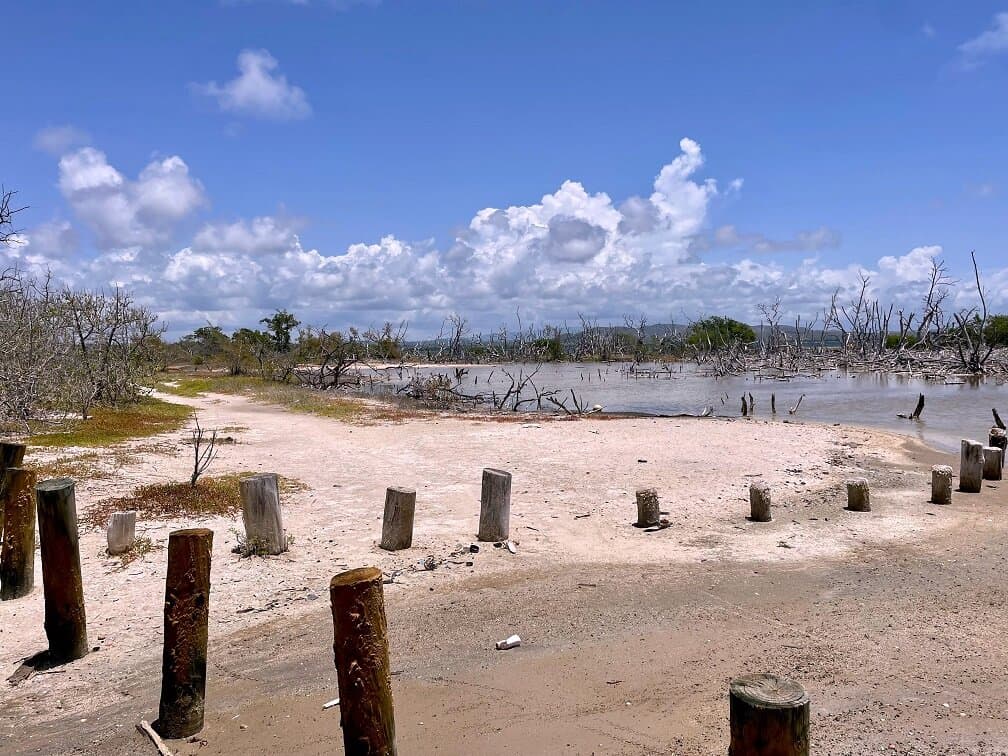 Finding Pink Lakes in Cabo Rojo: How to Visit the Salinas of Puerto Rico -  Jen on a Jet Plane