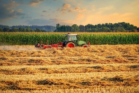 Tractor Ride