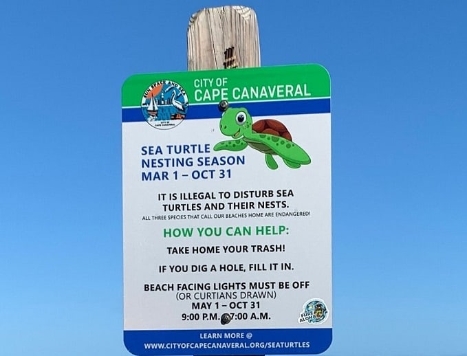 Watch Turtles Nesting