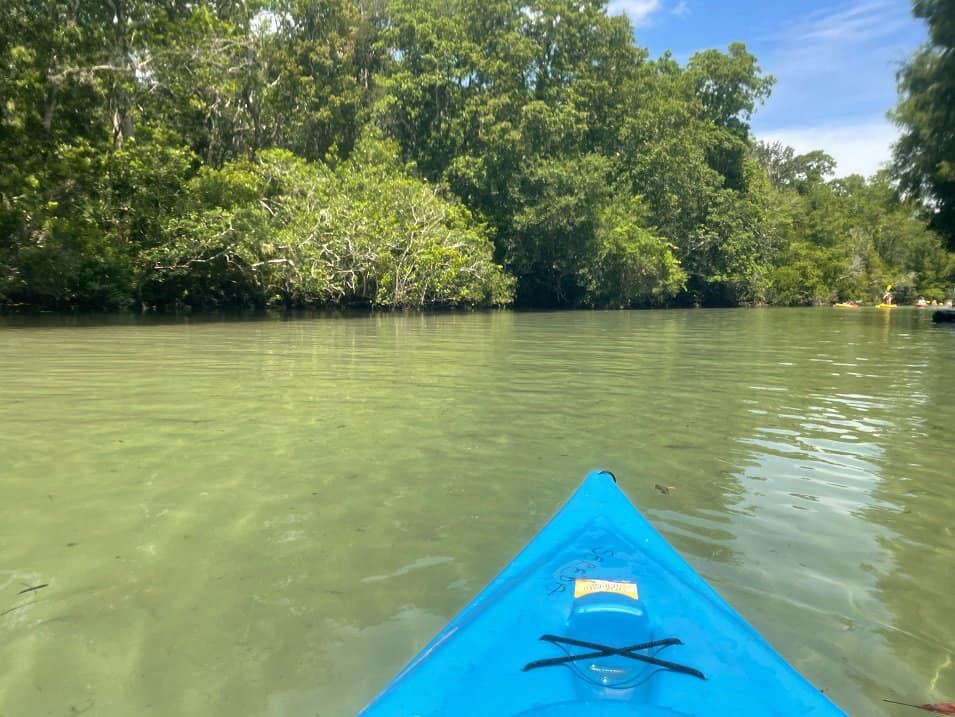 Weeki Wachee River Rentals