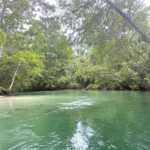 Serene river surrounded by lush green trees in a natural forest setting for outdoor adventure and nature exploration.