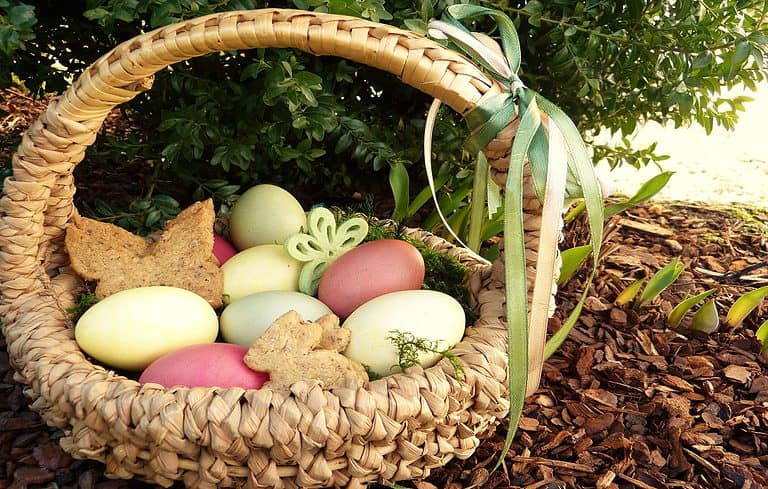 Easter In Florida – The 2023 Guide Of Things To Do